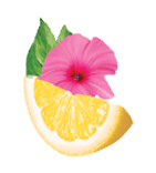 Decorative flower
